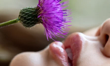 nao-jinguji-神宮寺ナオ,-graphis-gals-「stilla」-vol.08