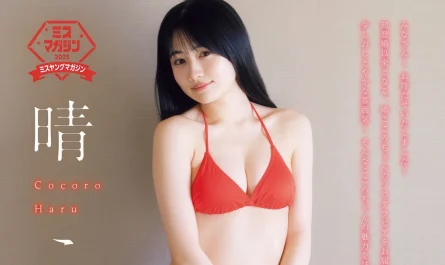 cocoro-haru-晴こころ,-young-magazine-2026-no.14-(ヤングマガジン-2026年14号)